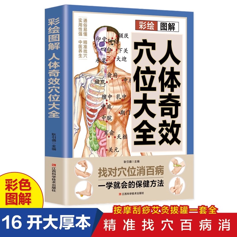 Complete Guide to Acupoint Mas - đánh giá và giá Health & Wellness Website